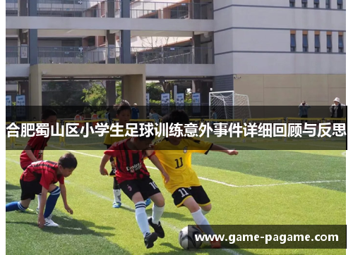 合肥蜀山区小学生足球训练意外事件详细回顾与反思