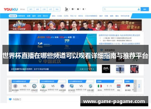 世界杯直播在哪些频道可以观看详细指南与推荐平台