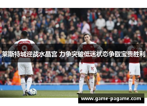 莱斯特城迎战水晶宫 力争突破低迷状态争取宝贵胜利