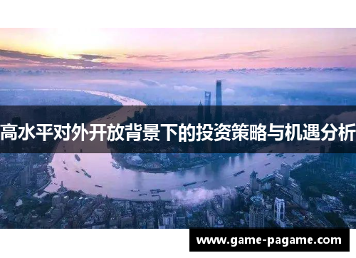 高水平对外开放背景下的投资策略与机遇分析
