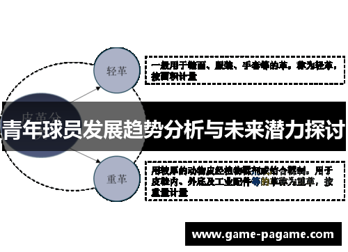 青年球员发展趋势分析与未来潜力探讨