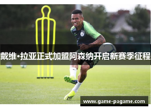 戴维·拉亚正式加盟阿森纳开启新赛季征程 戴维·拉亚正式加盟阿森纳开启新赛季征程
