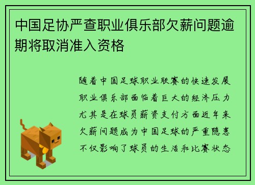 中国足协严查职业俱乐部欠薪问题逾期将取消准入资格 中国足协严查职业俱乐部欠薪问题逾期将取消准入资格