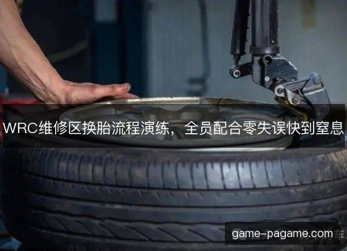 WRC维修区换胎流程演练，全员配合零失误快到窒息